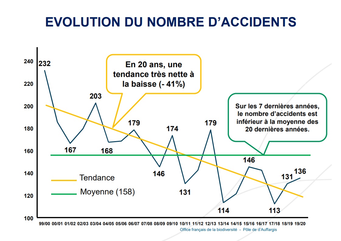 Bilan des accidents de chasse 2019 2020